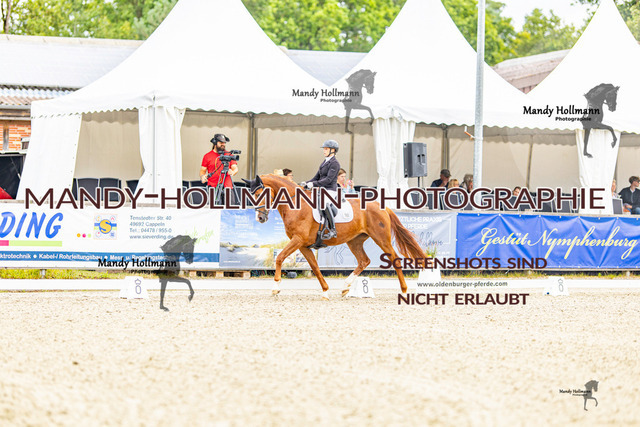 SW 4-24 | mandyhollmannphotographie