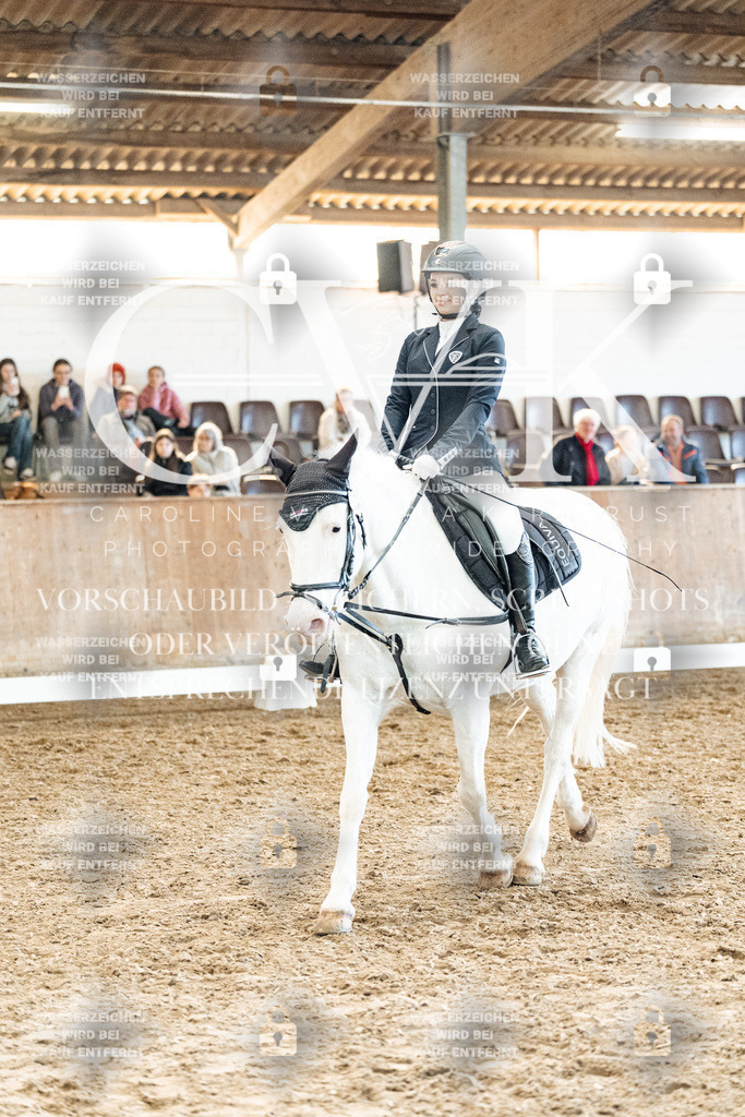 CK909996 | Turnierfotografie Pferdefotografie Trier Rheinland-Pfalz Pferdesport Reitsport Tierfotografie Sportfotografie Pferdevideo Pferdevideografie Equestrianvideography equestrianphotography  - Realisiert mit Pictrs.com