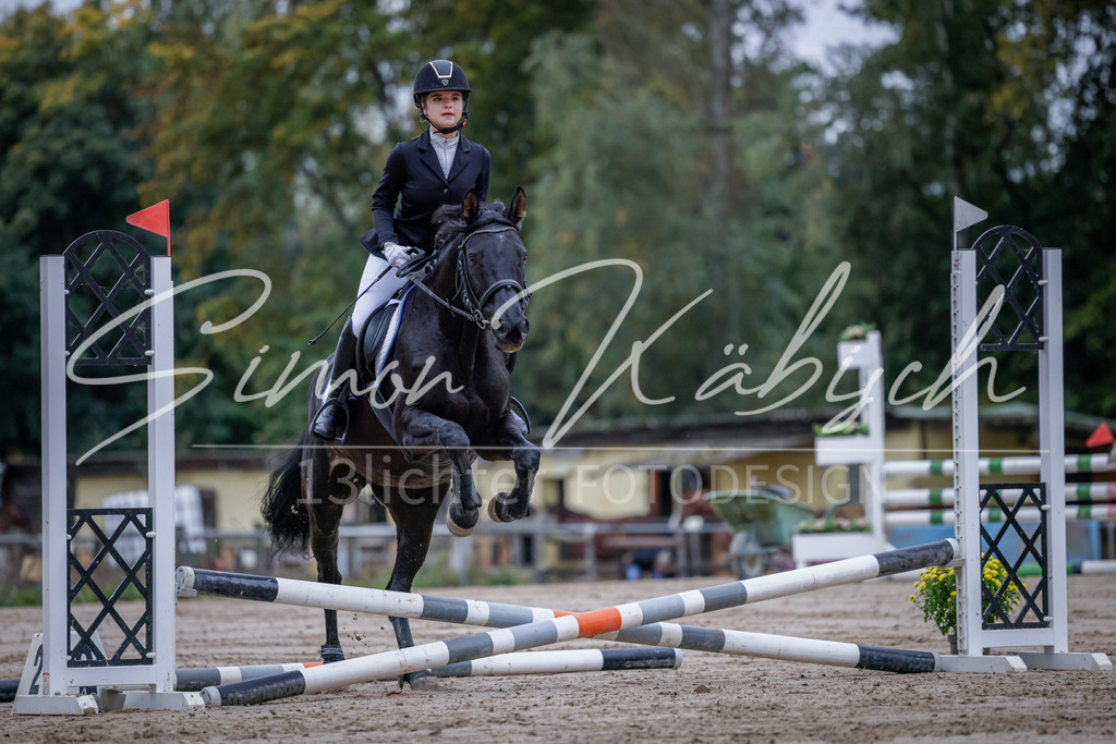 20251012-_3LI2683 | Tierfotografie Pferde, Hunde, Katzen, Haustiere.
Turnierfotografie Reitturniere, Reiten, Springreiten, Dressur in Hanau, dem Main-Kinzig-Kreis und dem Rhein-Main- Gebiet um Frankfurt