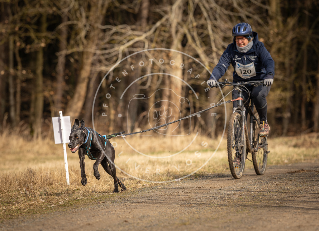 DV3A4373 | Hundefotografie, Tierfotograf, Pfotenfotografie, Fotoshooting Hund, Hunde Portrait, Hundesport, Hundeportraits, Heideshooting, Hunde, Sportfotograf, Hundefotograf, Turnierhundsport, THS,  - Realisiert mit Pictrs.com