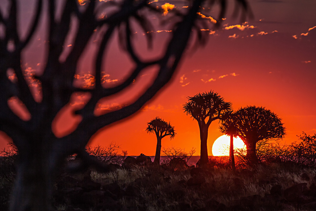 Sunset at the Quivertree Forest | Sunset at the Quivertree Forest, Namibia - Realisiert mit Pictrs.com