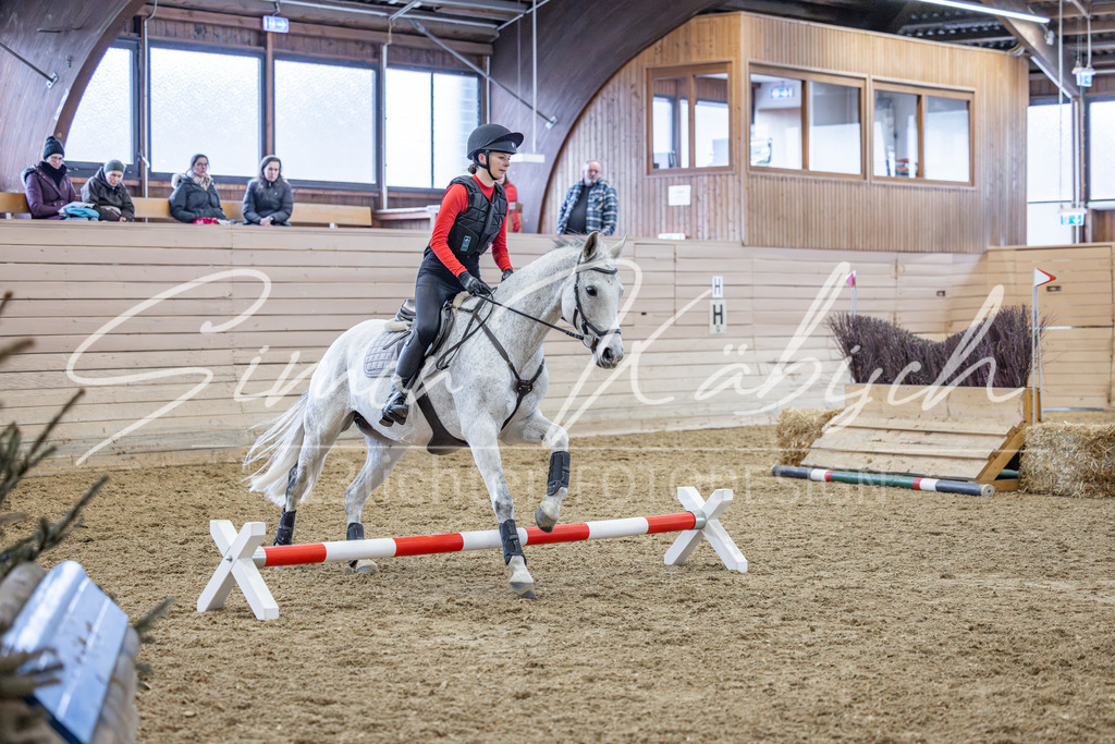 20260221-_3LI9560 | Tierfotografie Pferde, Hunde, Katzen, Haustiere.
Turnierfotografie Reitturniere, Reiten, Springreiten, Dressur in Hanau, dem Main-Kinzig-Kreis und dem Rhein-Main- Gebiet um Frankfurt