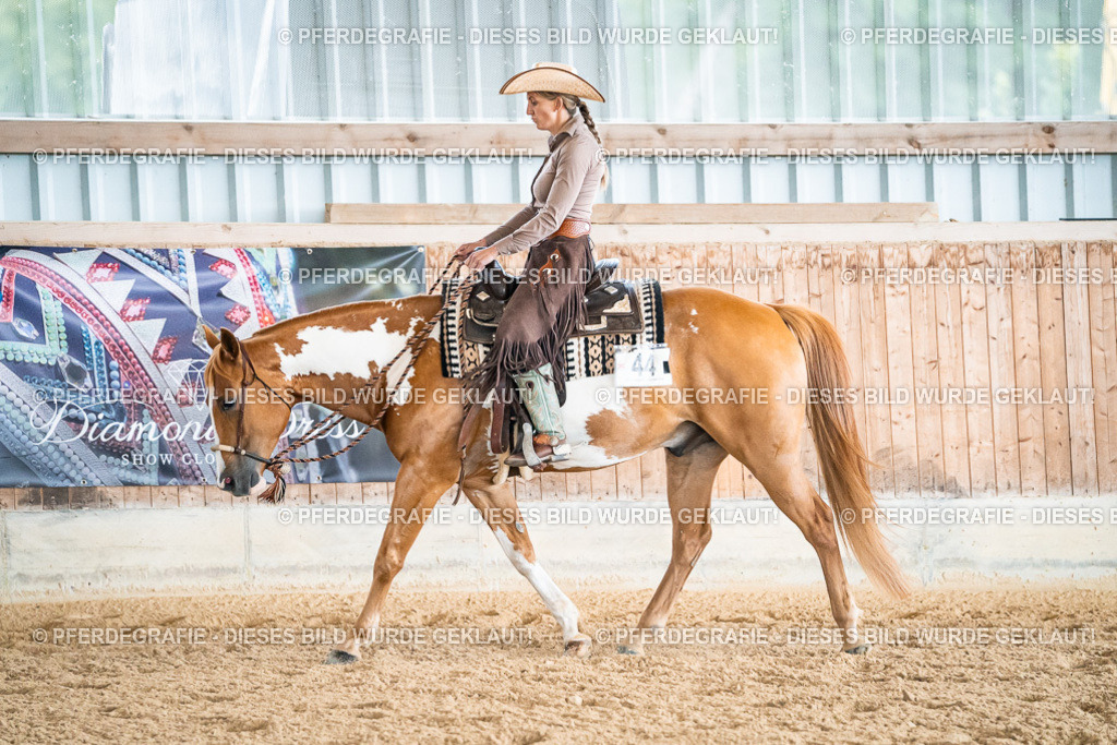 DSC00119 | Pferdegrafie