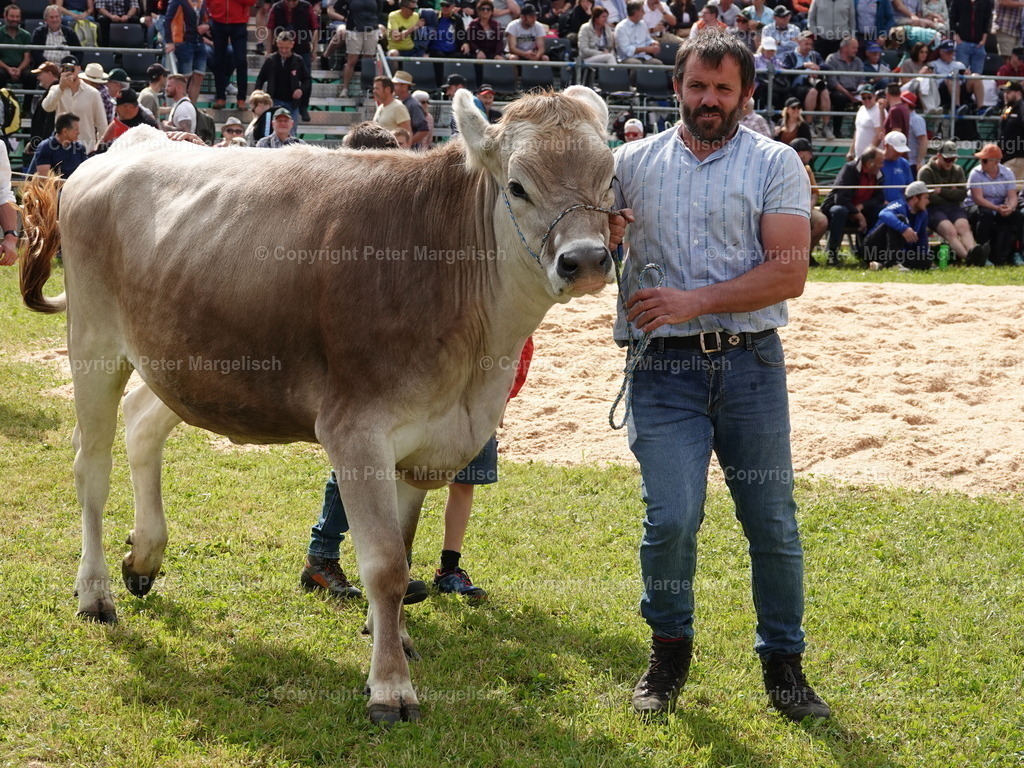 DSC06726 | Schwingen - Realisiert mit Pictrs.com