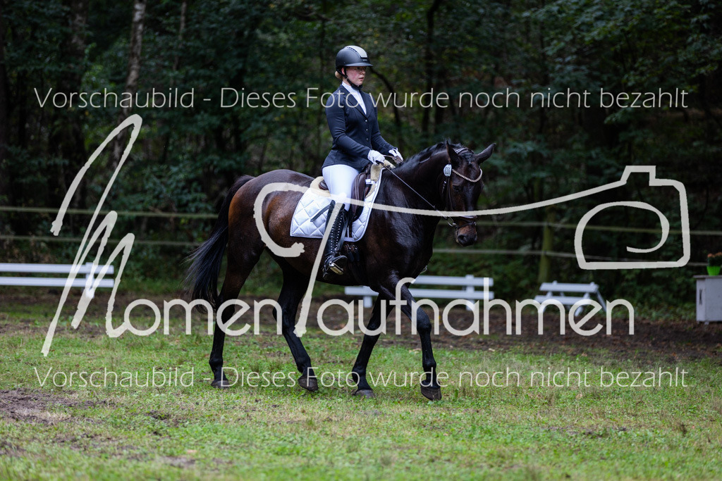 HB-A-Dressur-131 | MomenTaufnahmen Pferdesportfotos