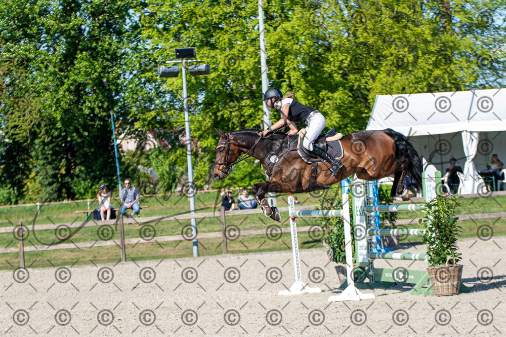 KPT_1906 | andre_photographic