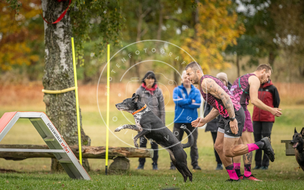Pfotenfotografie_DV3A9812 | Hundefotografie, Tierfotograf, Pfotenfotografie, Fotoshooting Hund, Hunde Portrait, Hundesport, Hundeportraits, Heideshooting, Hunde, Sportfotograf, Hundefotograf, Turnierhundsport, THS,  - Realisiert mit Pictrs.com