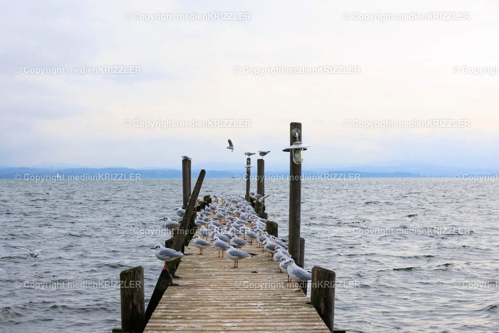 _J3A8678 | medienkrizzler - Realisiert mit Pictrs.com