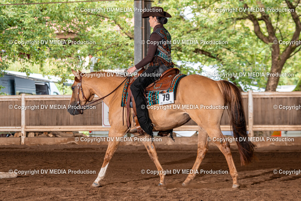 Erbach Tag 2-271 | dv-media-shop - Realisiert mit Pictrs.com