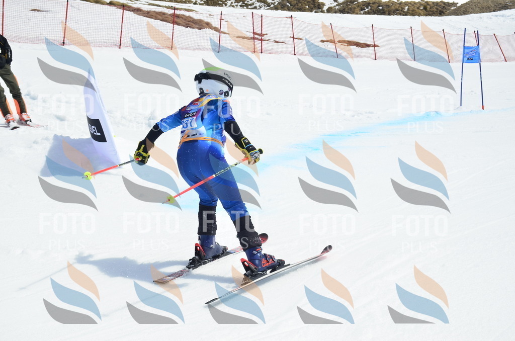 _ELE1708 | holidayphoto