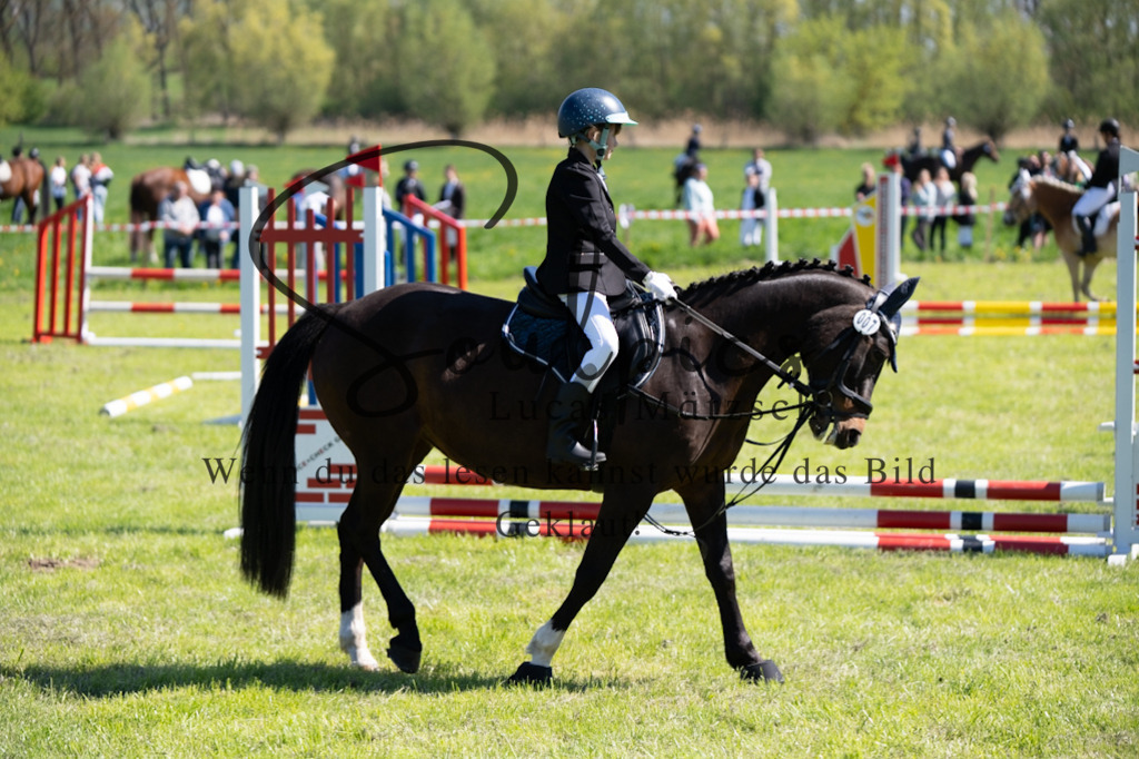 A7V01340 | Pferdefotograf