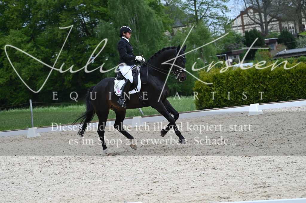 20230512_JK-Röhrsdorf-05-123 | Pferde- und Turnierfotografie in Westsachsen. Pferdeportraits, Auftragszeichnungen und intuitive Kunst.