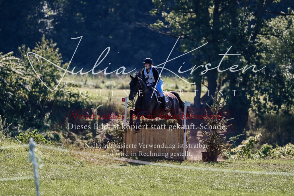 DSC_1598 | Pferde- und Turnierfotografie in Westsachsen. Pferdeportraits, Auftragszeichnungen und intuitive Kunst.