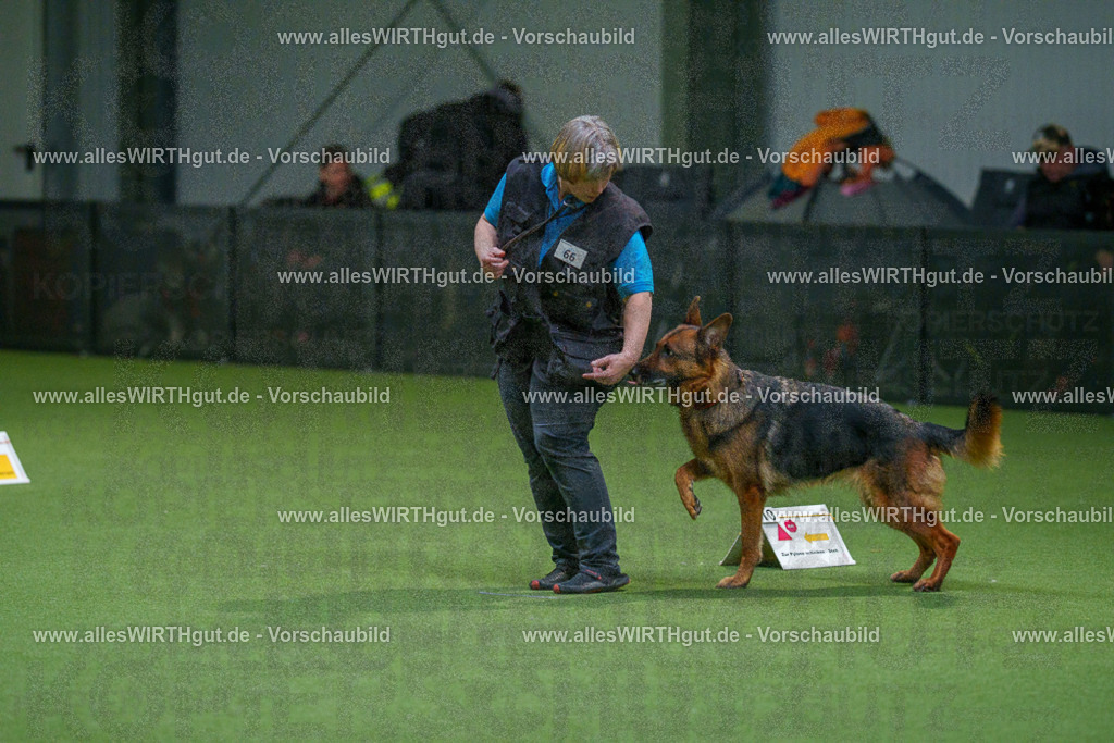 7R507963 | Professionelle Tierfotografie in Mönchengladbach von Daniel Wirth (allesWIRTHgut). Liebevolle & natürliche Bilder von Hunden & Katzen für unvergessliche Erinnerungen.