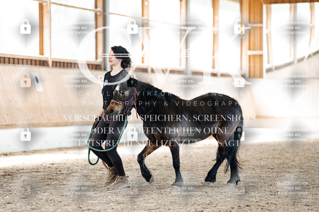 CK906857 | Turnierfotografie Pferdefotografie Trier Rheinland-Pfalz Pferdesport Reitsport Tierfotografie Sportfotografie Pferdevideo Pferdevideografie Equestrianvideography equestrianphotography  - Realisiert mit Pictrs.com