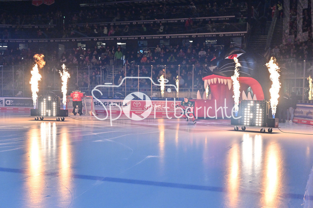 Augsburger Panther - Kölner Haie | Der Einlauf der Panther beim Heimspiel gegen Koeln / DEL: Augsburger Panther - Koelner Haie, Curt Frenzel Stadion am 02.03.2025 / Florian ELIAS (Augsburger Panther #67)