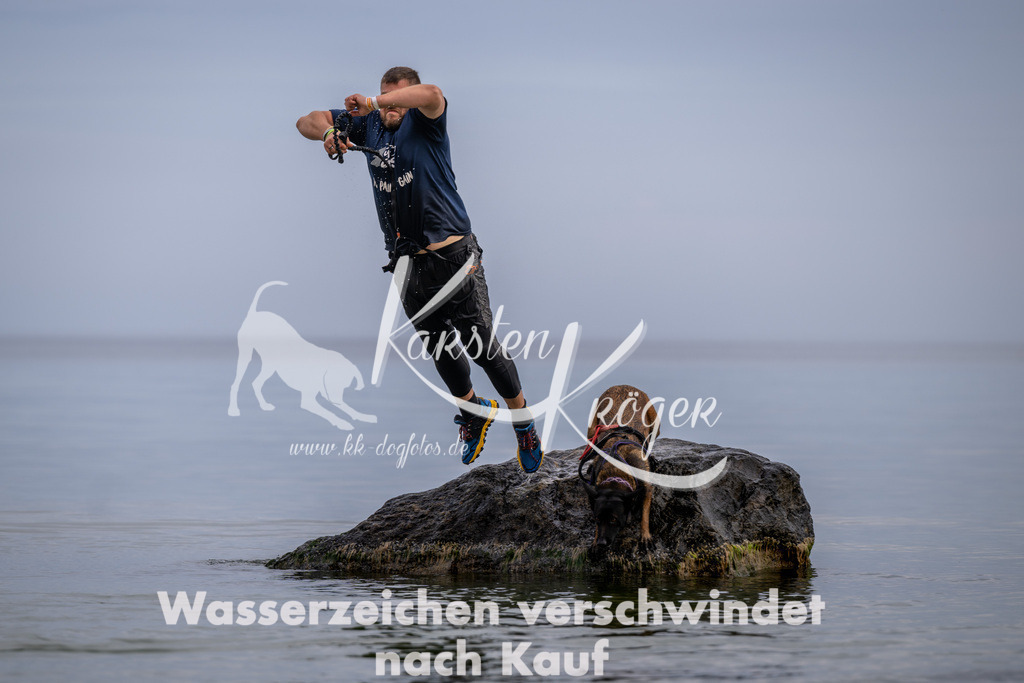 1224_ZZ91539 | kk-dogfotos