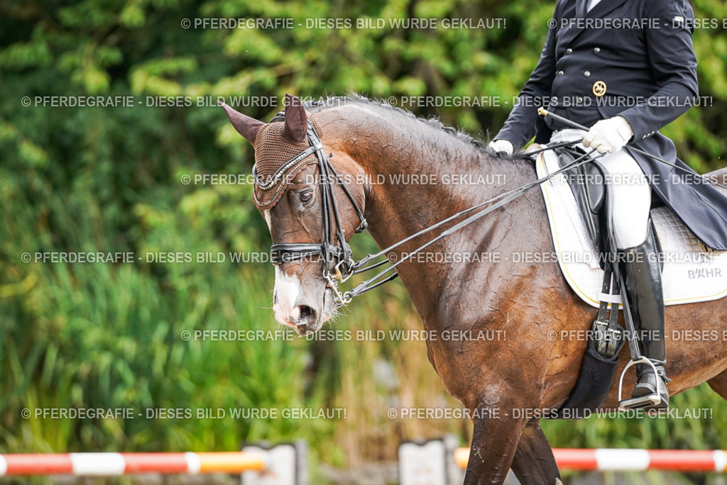 DSC06987 | Pferdegrafie