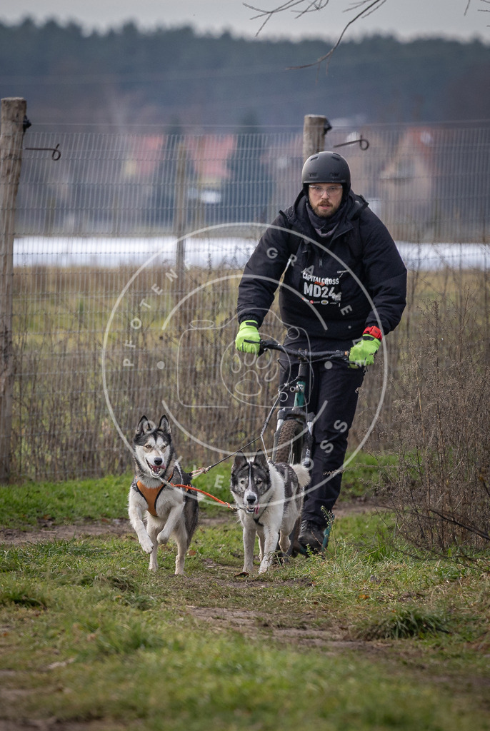 Pfotenfotografie_DV3A6937 | Hundefotografie, Tierfotograf, Pfotenfotografie, Fotoshooting Hund, Hunde Portrait, Hundesport, Hundeportraits, Heideshooting, Hunde, Sportfotograf, Hundefotograf, Turnierhundsport, THS,  - Realisiert mit Pictrs.com