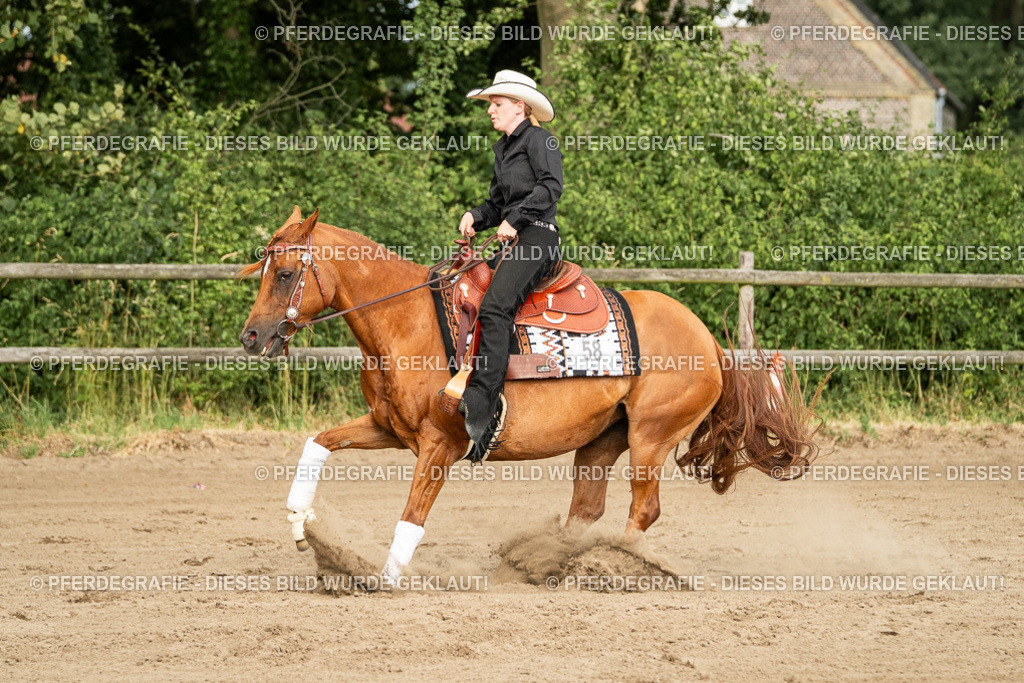 DSC05281 | Pferdegrafie