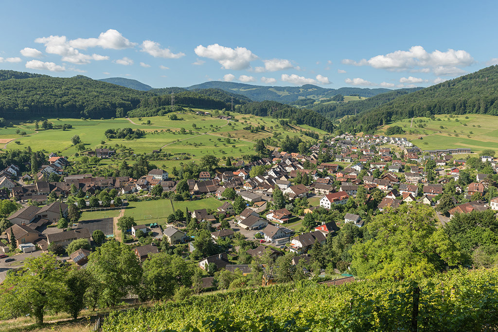 Ausblick vom Rebberg | in Ziefen, Baselland, Schweiz. - Realisiert mit Pictrs.com