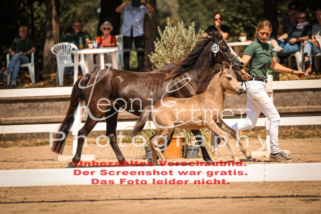 04.DoWP00037 | Leoni Ertmer Photography - Realisiert mit Pictrs.com