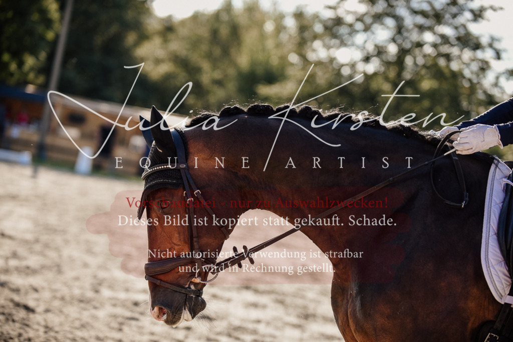 DSC_0643 | Pferde- und Turnierfotografie in Westsachsen. Pferdeportraits, Auftragszeichnungen und intuitive Kunst.