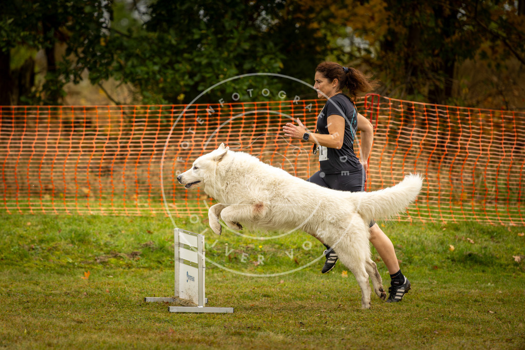Pfotenfotografie_DV3A2473 | Hundefotografie, Tierfotograf, Pfotenfotografie, Fotoshooting Hund, Hunde Portrait, Hundesport, Hundeportraits, Heideshooting, Hunde, Sportfotograf, Hundefotograf, Turnierhundsport, THS,  - Realisiert mit Pictrs.com