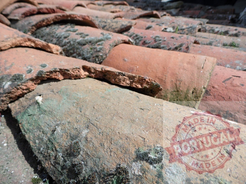 Broken and mossy terracotta roof tiles creating a textured pattern | Close-up of weathered and broken terracotta roof tiles covered in moss, highlighting the texture and decay of an old roofing system - Realized with Pictrs.com