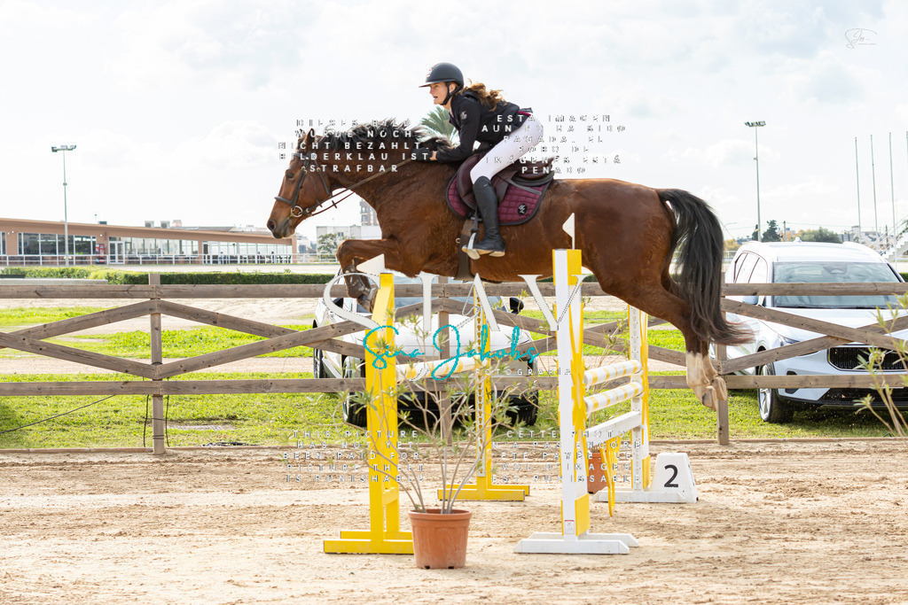 IMG_2463 | s-jay-photography - Realisiert mit Pictrs.com