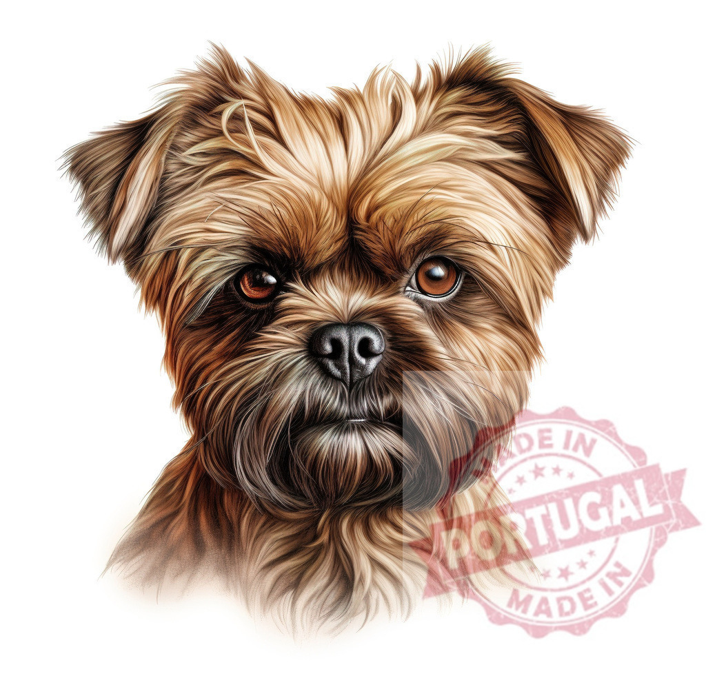 Brussels Griffon dog breed brown animal portrait | Professional artful dog portraits Brussels Griffon dog portrait looking directly at viewer on white background - Realisiert mit Pictrs.com