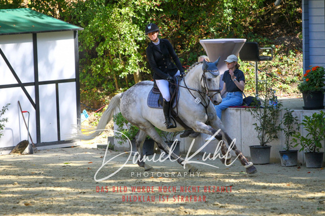 DKP43326 | Turniersportfotografie; Pferdefotografie; Dressurfotografie