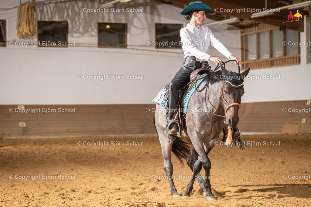 LMS07508 | BS-foto