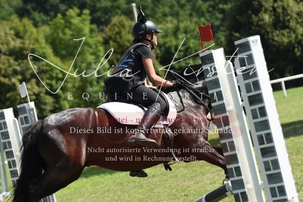 DSC_0363 | Pferde- und Turnierfotografie in Westsachsen. Pferdeportraits, Auftragszeichnungen und intuitive Kunst.