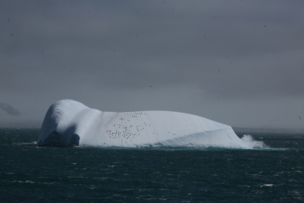 IMG_7354 | Antarktis / Antarctica - Realisiert mit Pictrs.com