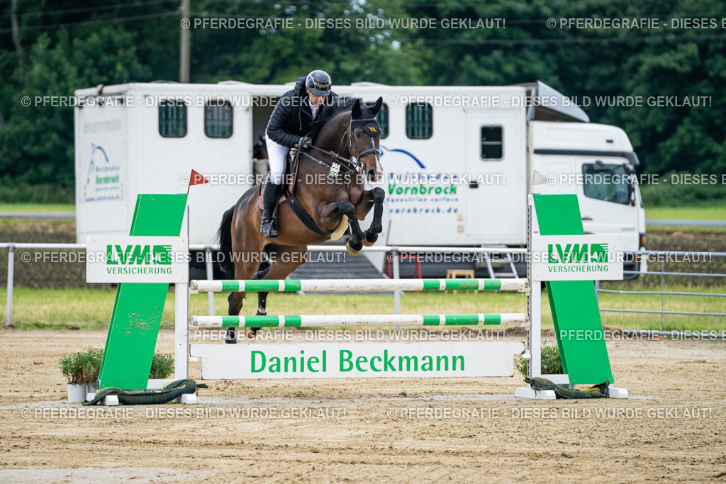 DSC04632 | Pferdegrafie