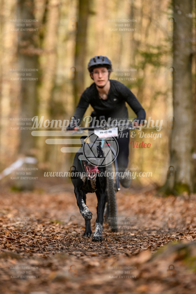 MompixPhotography_Habay2025_SA_SCO-34 | PayLife