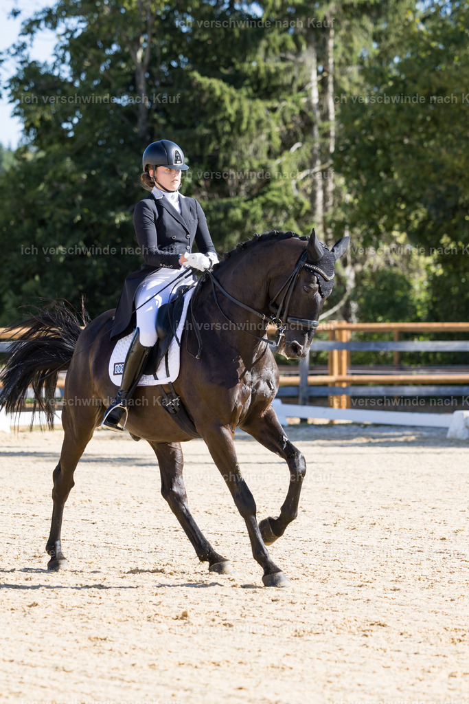 FHC2026_P07_9_17465 | working equitationturnier fotograf videograf stoibphotography marixx film working equitation deutschland reitsport turnierfotografie eventfotografie equestrian events