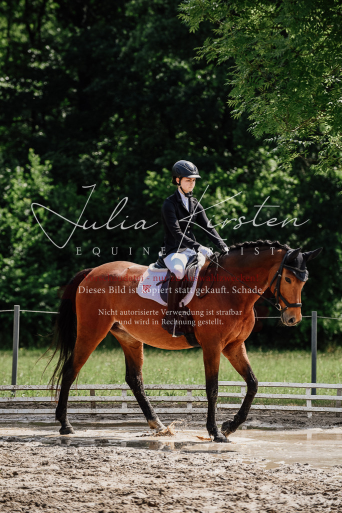 DSC_0956 | Pferde- und Turnierfotografie in Westsachsen. Pferdeportraits, Auftragszeichnungen und intuitive Kunst.