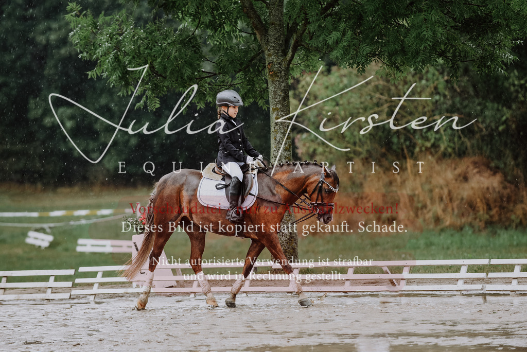 DSC_0886 | Pferde- und Turnierfotografie in Westsachsen. Pferdeportraits, Auftragszeichnungen und intuitive Kunst.