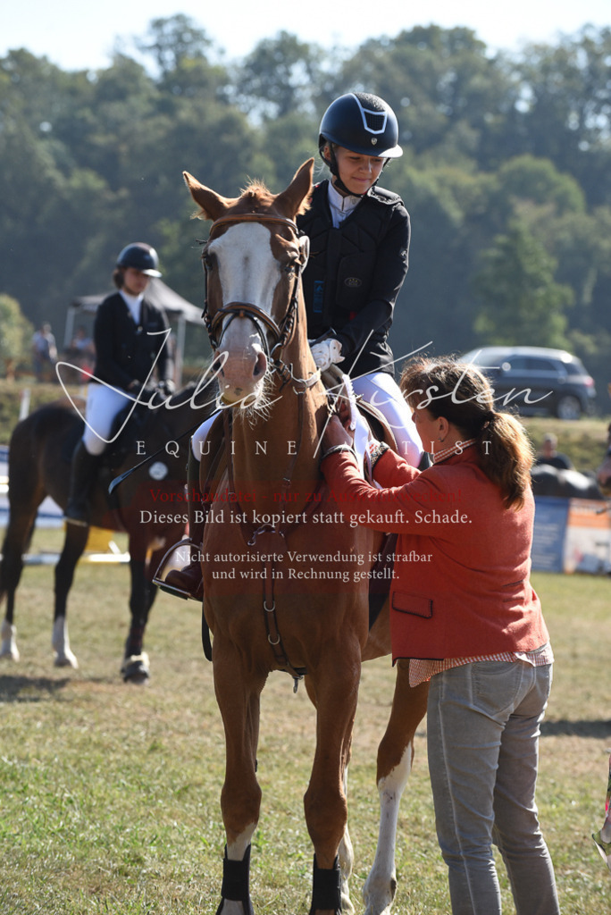 DSC_6165 | Pferde- und Turnierfotografie in Westsachsen. Pferdeportraits, Auftragszeichnungen und intuitive Kunst.