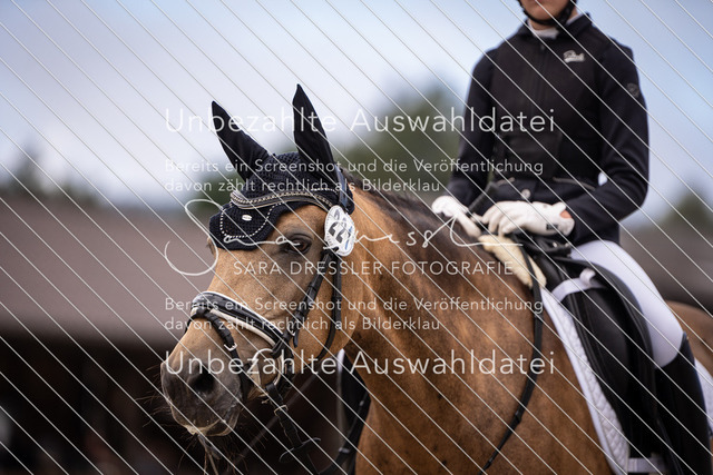 SD_OED_05095 | saradresslerfotografie - Realisiert mit Pictrs.com