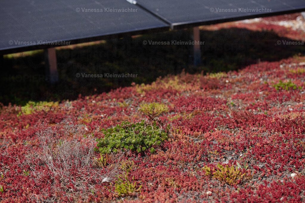 250511_SolarXBerg_18 | Vanessa Kleinwächter - Realisiert mit Pictrs.com