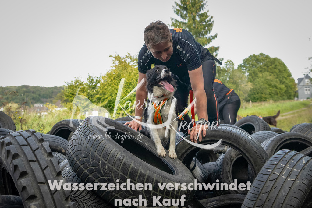1503_ZZ90933-Bearbeitet | kk-dogfotos