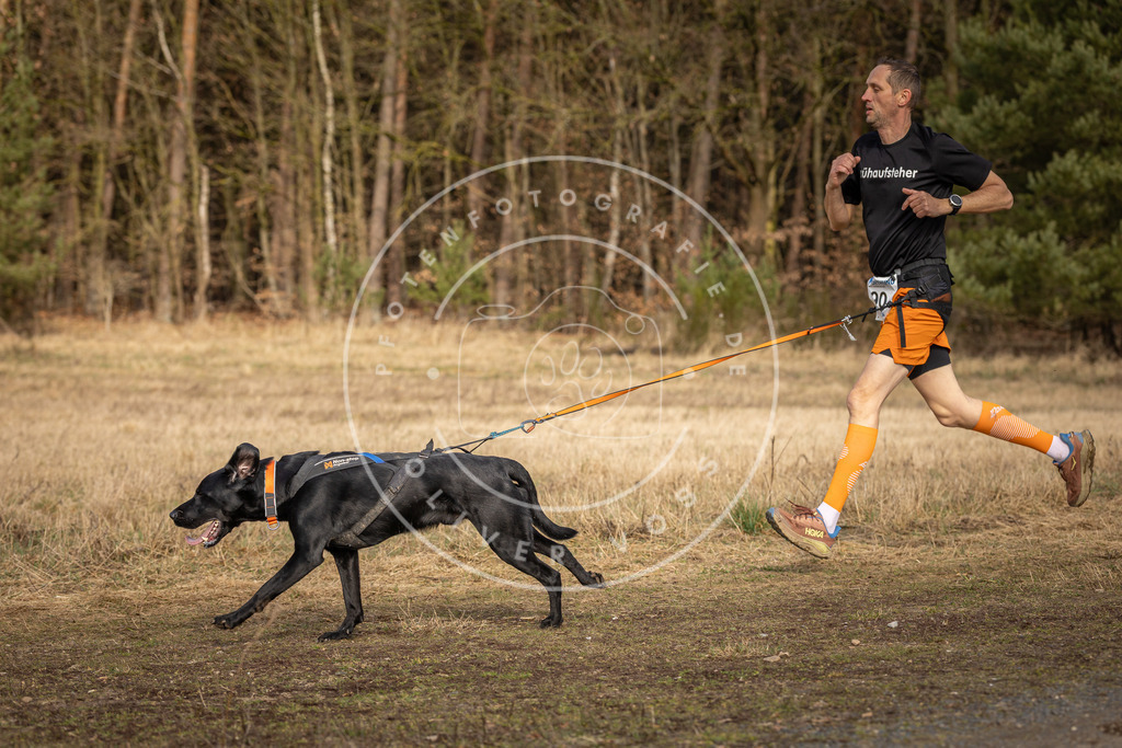 DV3A3823 | Hundefotografie, Tierfotograf, Pfotenfotografie, Fotoshooting Hund, Hunde Portrait, Hundesport, Hundeportraits, Heideshooting, Hunde, Sportfotograf, Hundefotograf, Turnierhundsport, THS,  - Realisiert mit Pictrs.com
