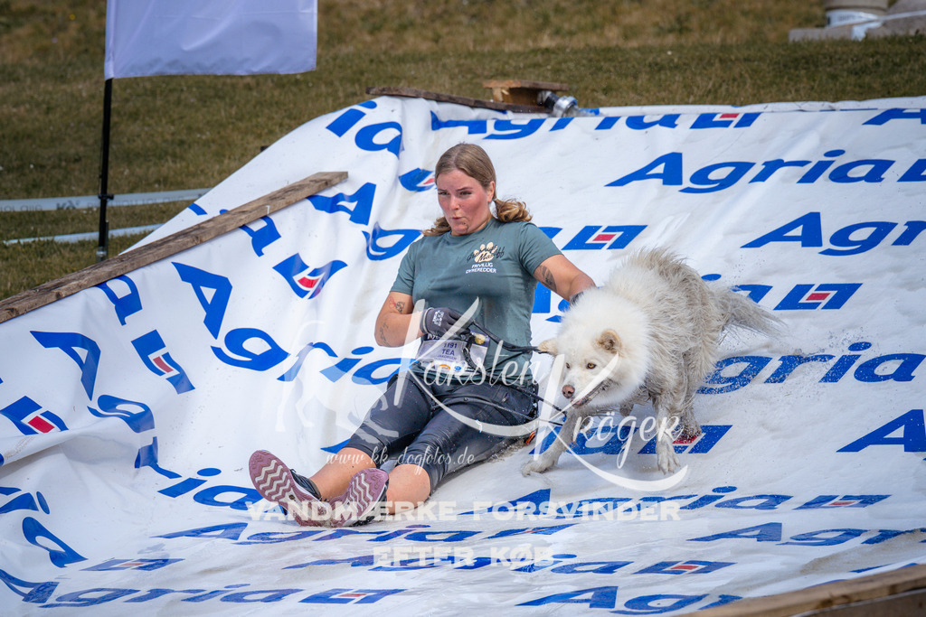 _ZZ904650900 | kk-dogfotos