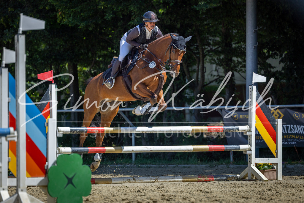 20260704-_3LI7868 | Tierfotografie Pferde, Hunde, Katzen, Haustiere.
Turnierfotografie Reitturniere, Reiten, Springreiten, Dressur in Hanau, dem Main-Kinzig-Kreis und dem Rhein-Main- Gebiet um Frankfurt