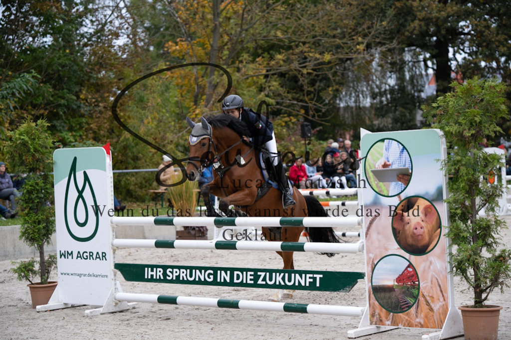 A7V08664 | Turnier/Reitfotograf