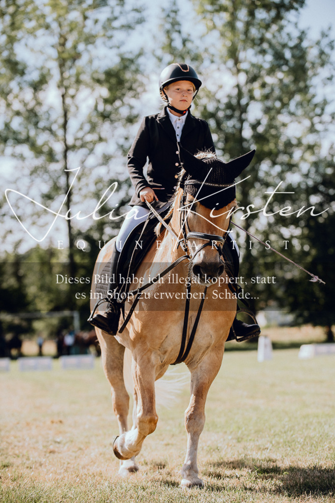 DSC_7060 | Pferde- und Turnierfotografie in Westsachsen. Pferdeportraits, Auftragszeichnungen und intuitive Kunst.
