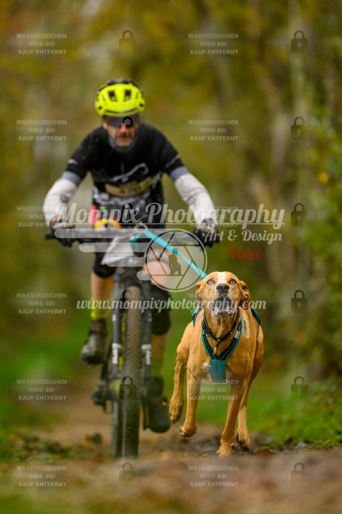 MompixPhotography_20TSB_E6_Bike-29 | PayLife